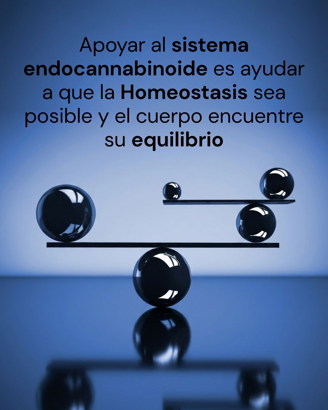 Homeostasis: El arte del equilibrio biológico