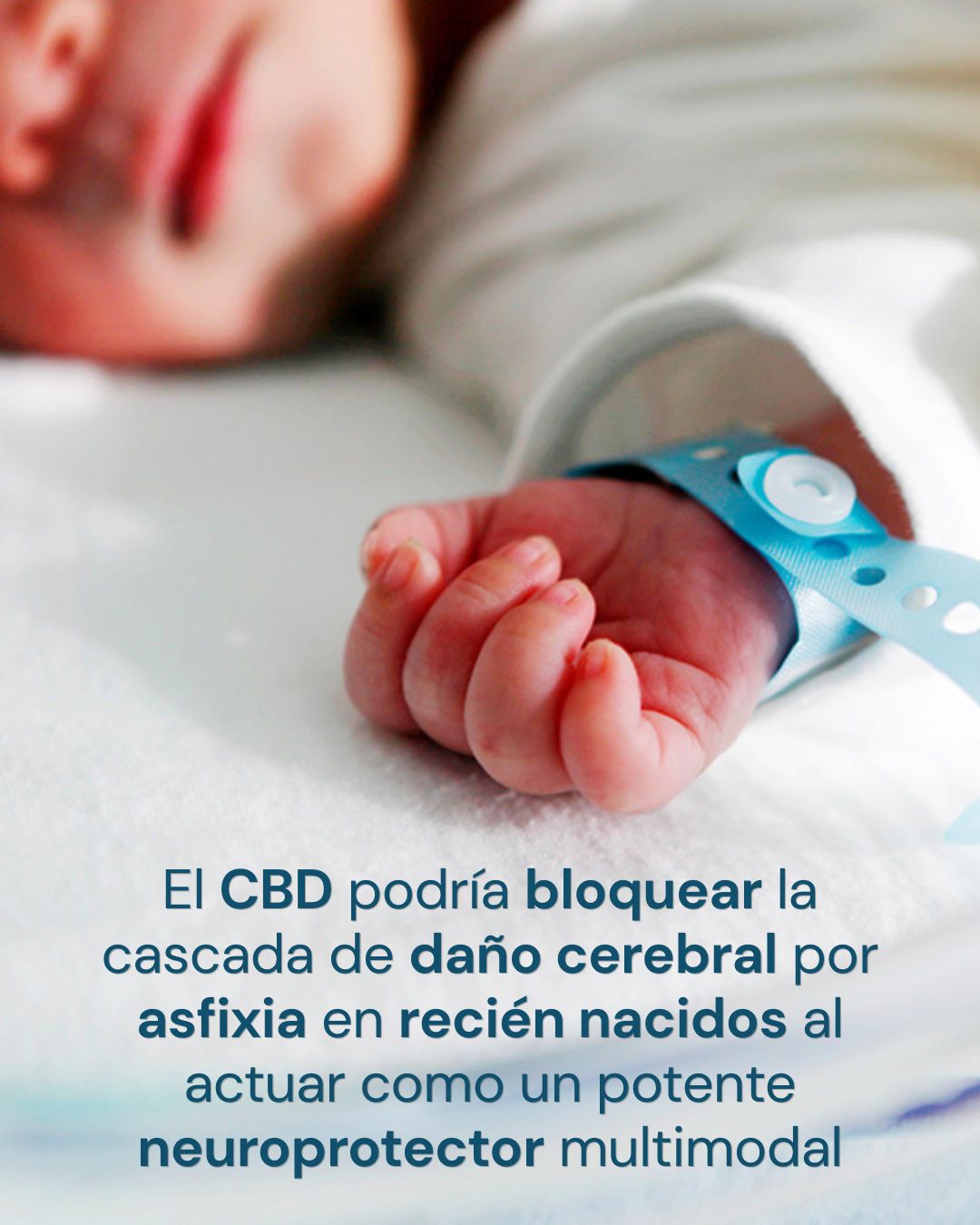 De la Emergencia en el Parto a la Medicina de Precisión: El Viaje del CBD en la Neuroprotección Neonatal