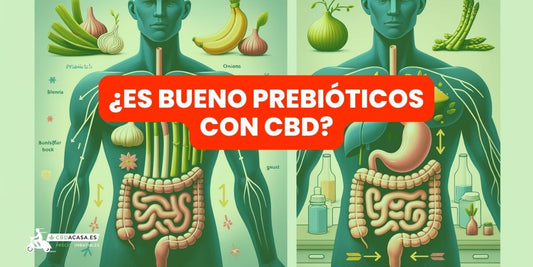 ¿Es bueno combinar Prebióticos y CBD para mejorar la digestión y LA ANSIEDAD? - Parte 1