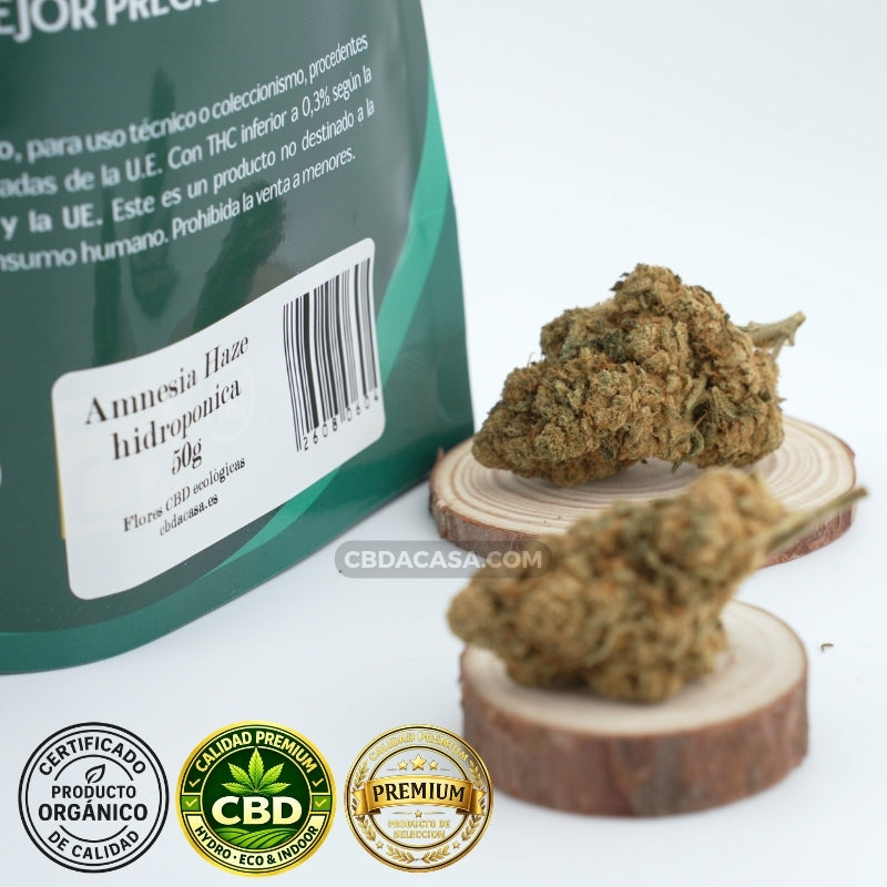Amnesia Haze Hydro CBD – Premium hidropónica