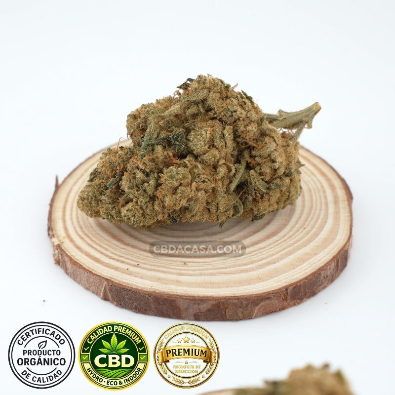 Amnesia Haze Hydro CBD – Premium hidropónica