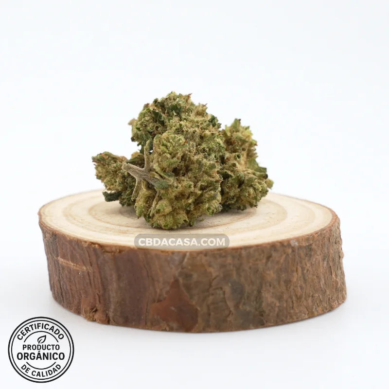 Flores de CBD AK47 desde 0,99€/gr