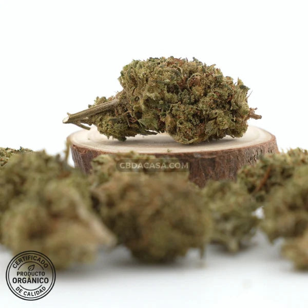 Comprar CBD White Widow - flores CBD leyendarias