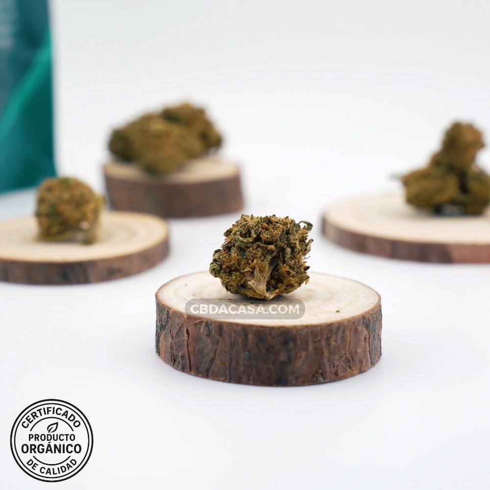 Flores CBD Wedding Cake Orgánica – Cultivo 100 % ecológico, legal