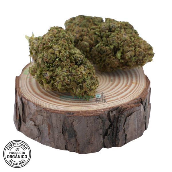 Flores CBD Lemon Tonik
