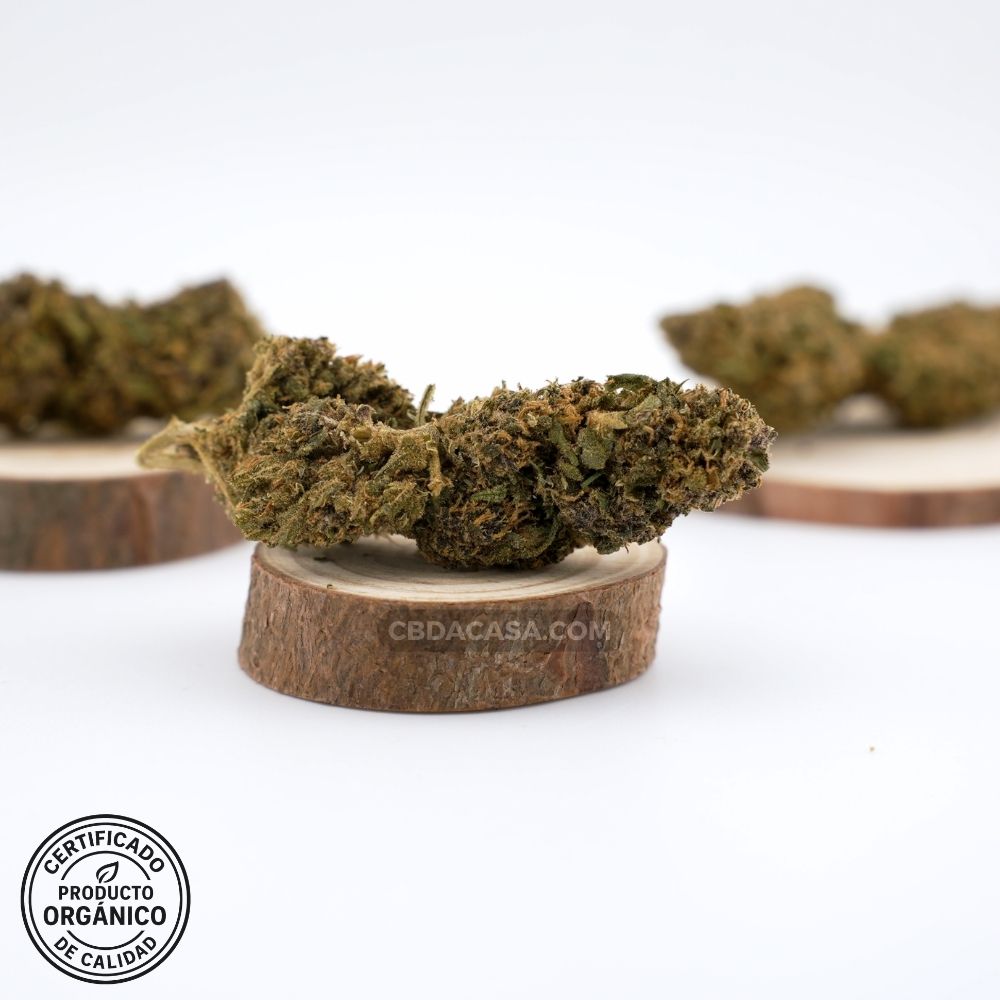 Flores de CBD Lime Purple