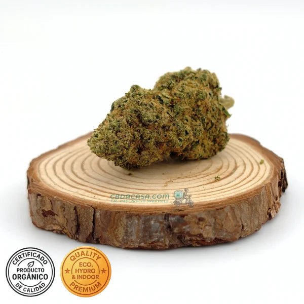 CBD indoor Marley Kush, flores excepcionales