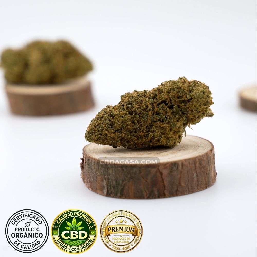 Flores CBD indoor Cheese Cake