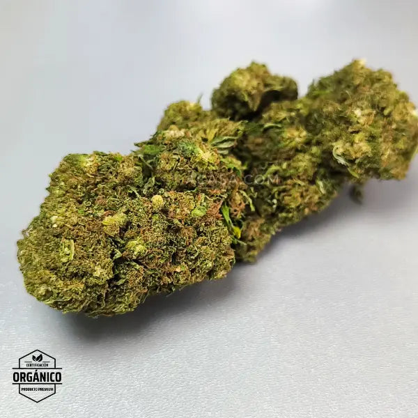 California Haze - Flores CBD frescas y bonitas