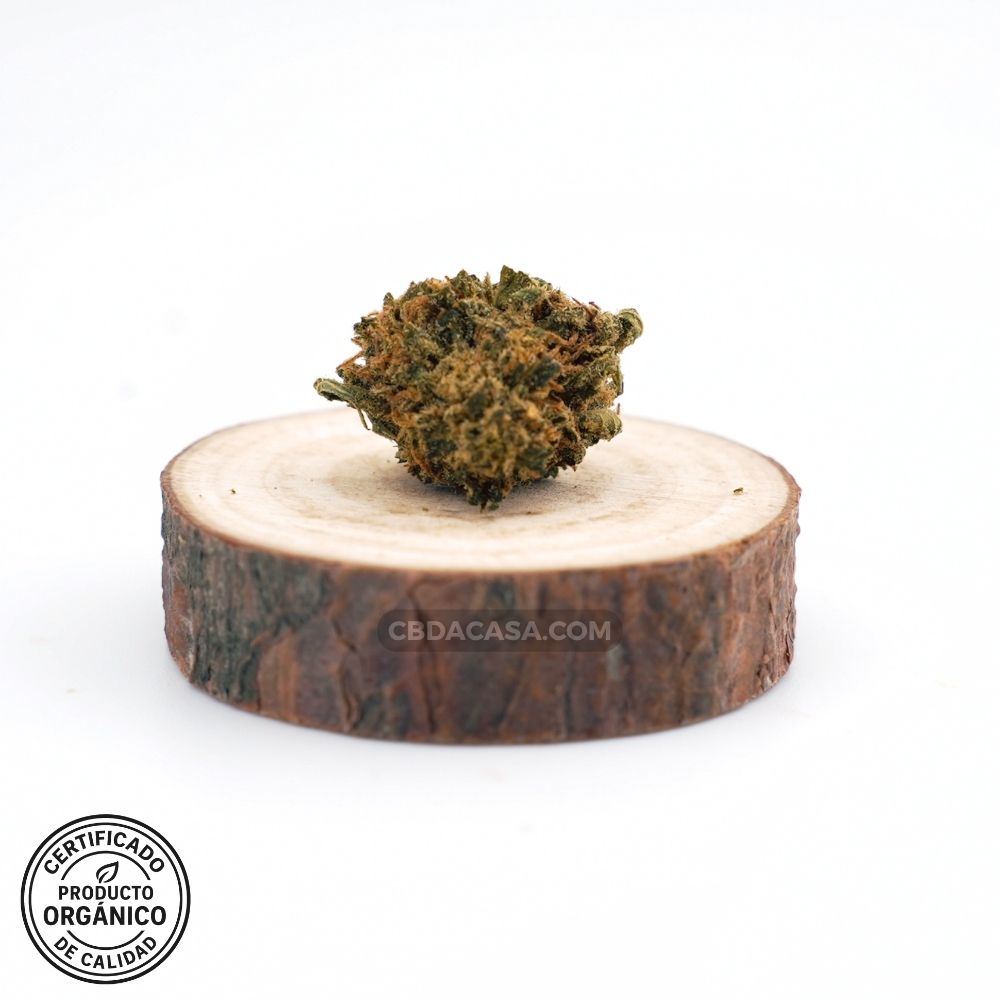 Flores CBD Wedding Cake Orgánica – Cultivo 100 % ecológico, legal