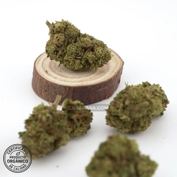 Sour Widow, flores CBD singulares con 13% de cannabidiol
