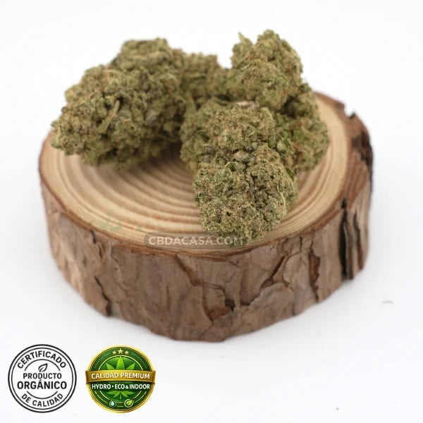 Oreo Cookies - CBD hidropónico