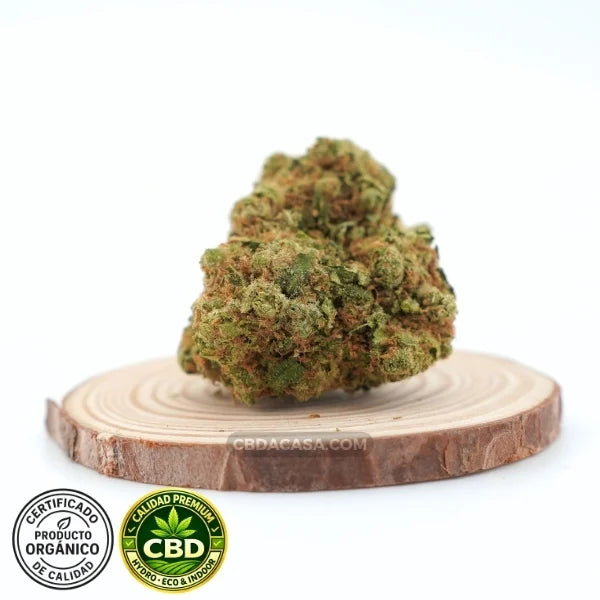 Amnesia Haze Hydro CBD – Premium hidropónica