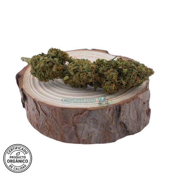Flores CBD Diesel Tonic, cruce mágico