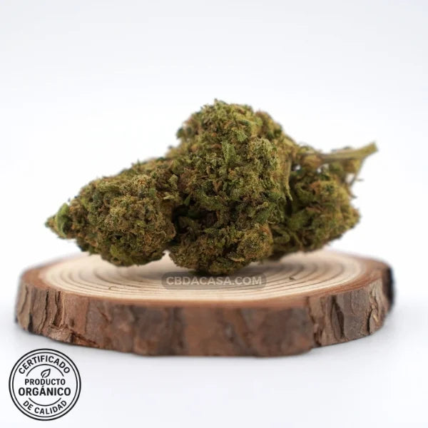 Flores de CBD Harlequeen (100% ecológico)