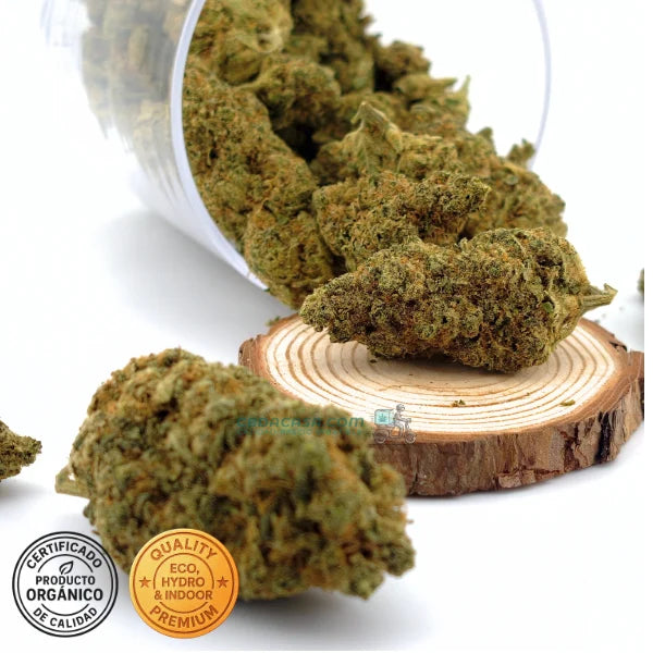 CBD indoor Marley Kush, flores excepcionales