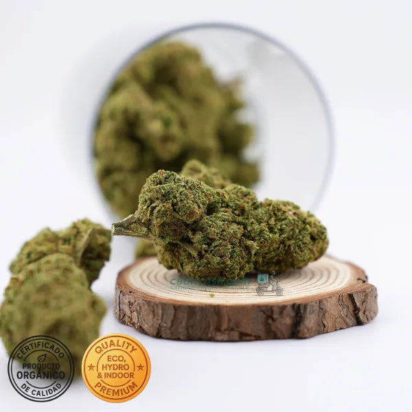 Runtz Muffin - flores CBD top