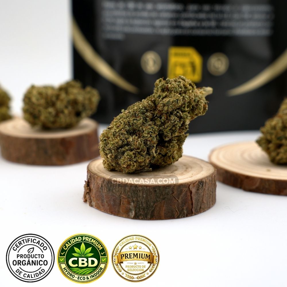 Acapulco Gold Flores CBD compactas hidroponicas