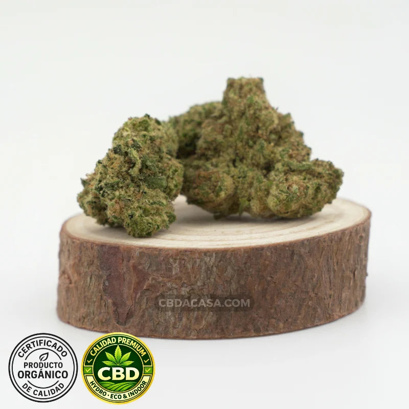 Flores de CBD hidropónico Medellin