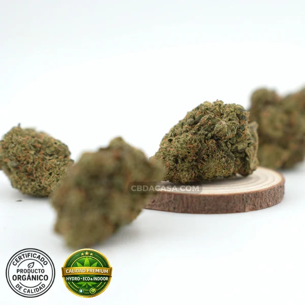 Flores de CBD hidropónico Biscotti