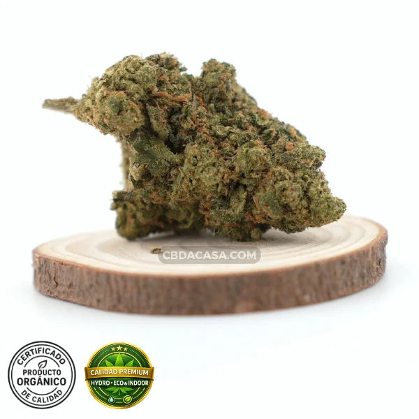 Flores de CBD hidropónico Biscotti