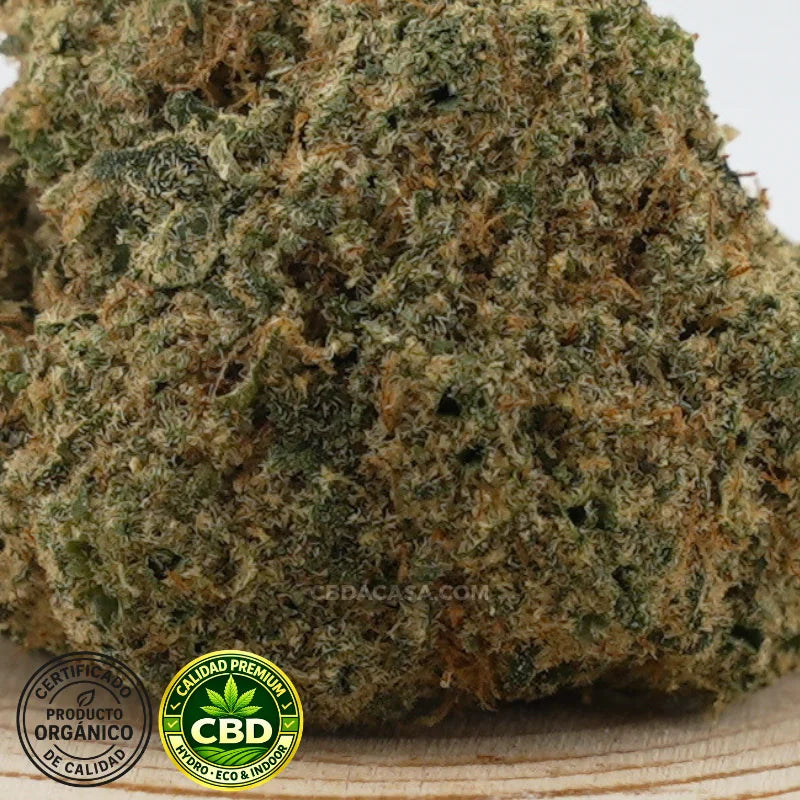 Flores de CBD hidroponico Zushi
