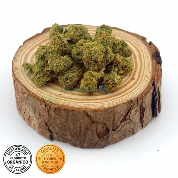 OG Kush Flores CBD indoor a buen precio