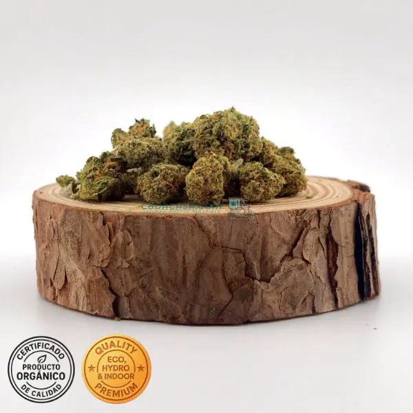 OG Kush Flores CBD indoor a buen precio