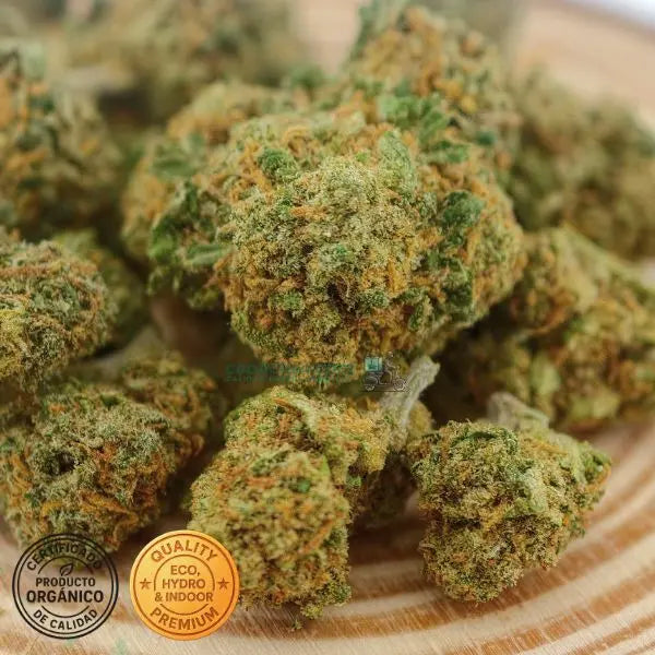 OG Kush Flores CBD indoor a buen precio