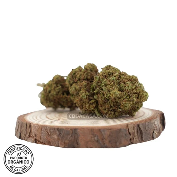 Flores de CBD Cherry Wine