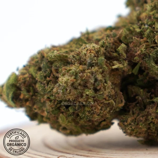 Flores de CBD Harlequeen 100% ecológico
