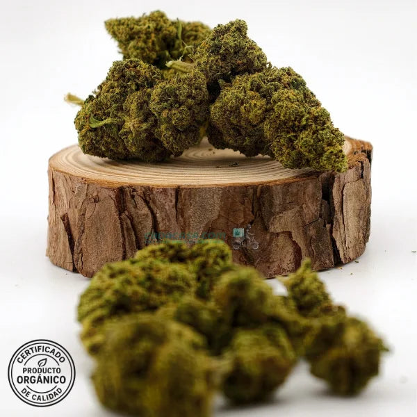 Flores de CBD Raspberry, frescas y bonitas