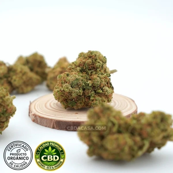 Amnesia Haze Hydro CBD – Premium hidropónica