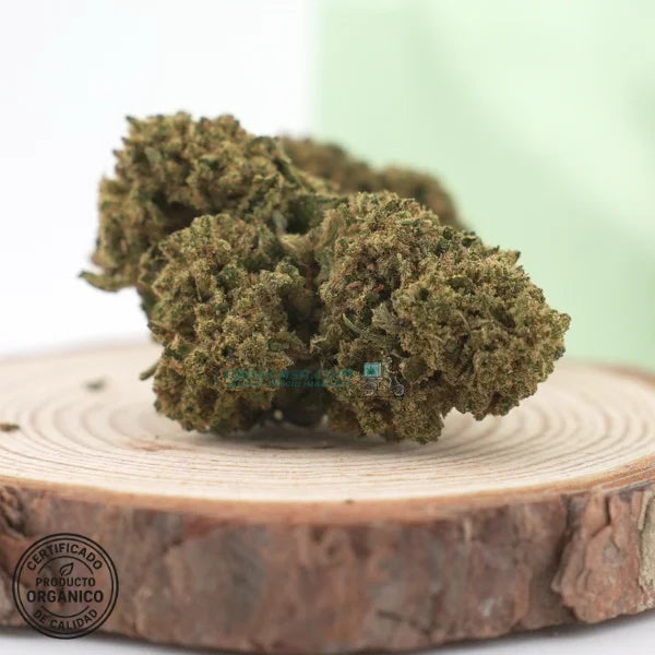 California Haze - Flores CBD frescas y bonitas
