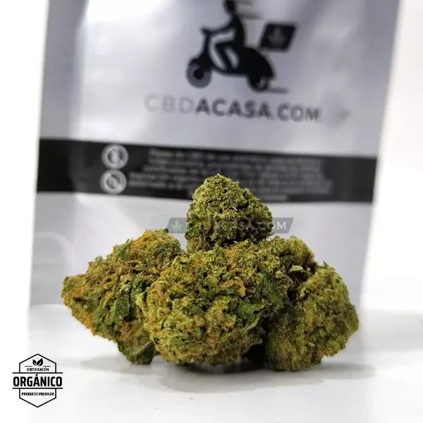 Flores CBD 1 euro Chocolate Diesel 🆕