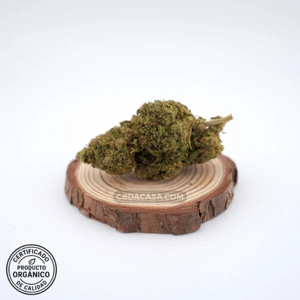 Flores de CBD Harlequeen 100% ecológico