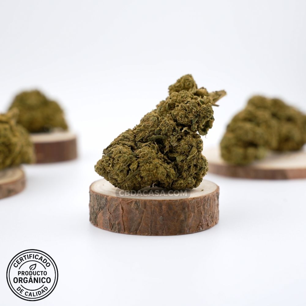 Flores CBD Candy Caramel – Cogollos grandes y verdes