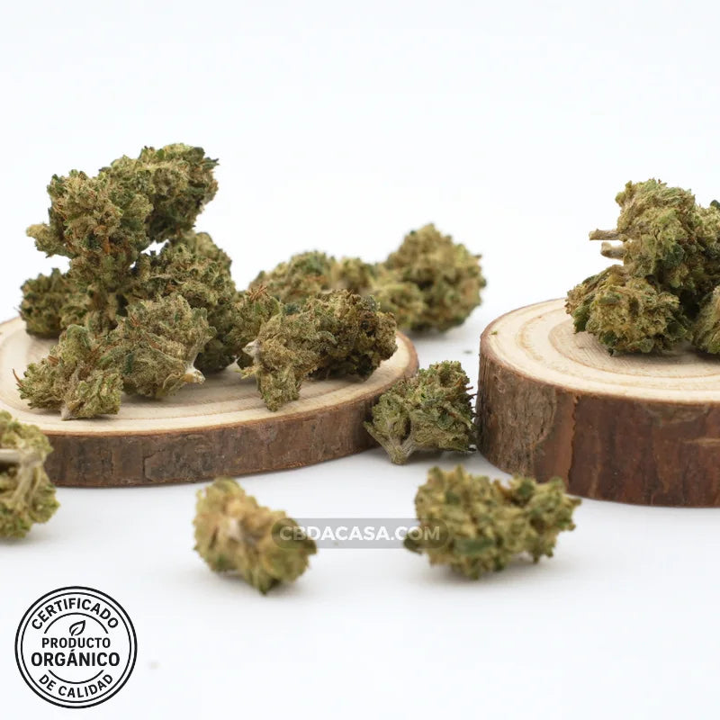 Flores de CBD AK47 desde 0,99€/gr