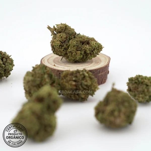 Sour Widow, flores CBD singulares con 13% de cannabidiol