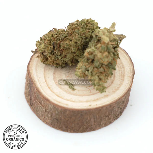 Comprar CBD White Widow - flores CBD leyendarias