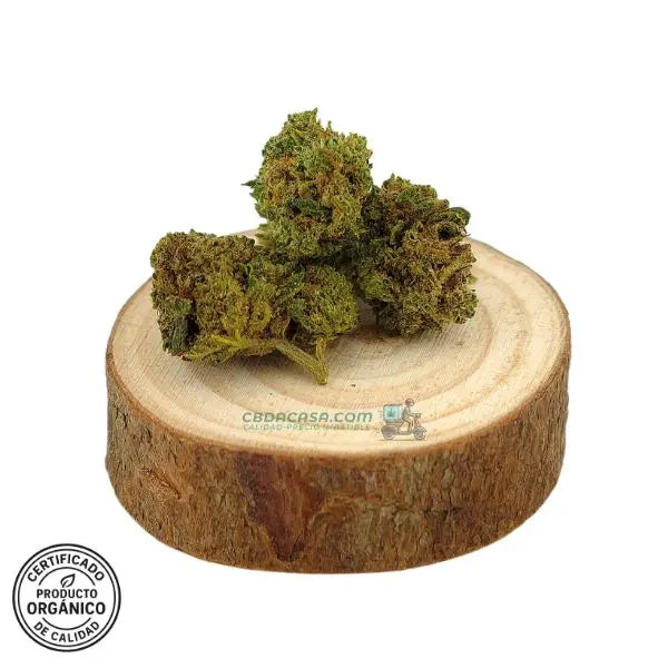 Flores de CBD 1 euro Skywalker comprar online