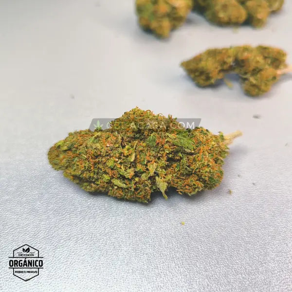 Flores CBD Mandarina Kush