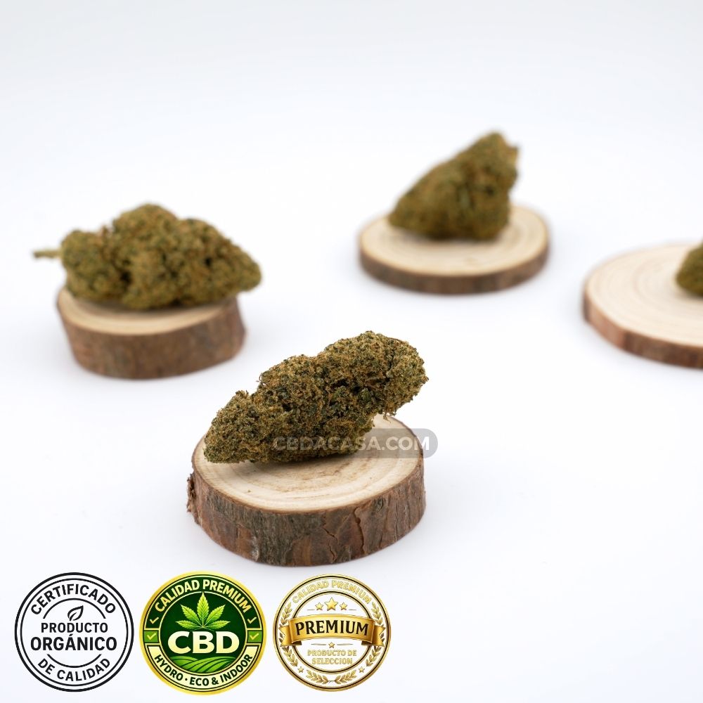 Flores CBD indoor Cheese Cake