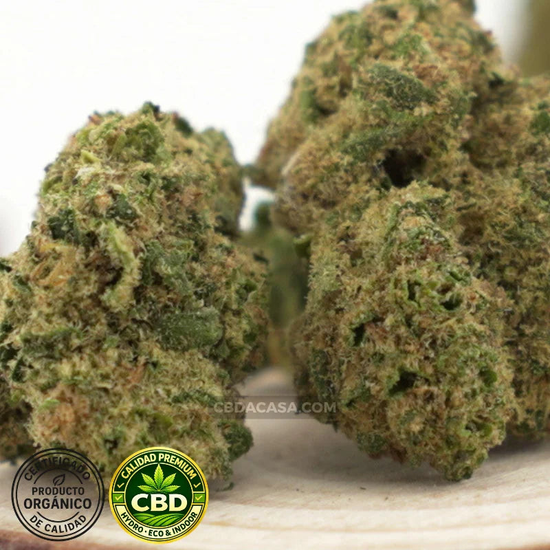 Flores de CBD hidropónico Medellin