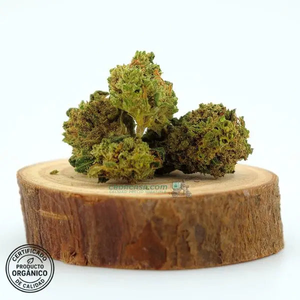Flores de CBD 1 euro Skywalker comprar online