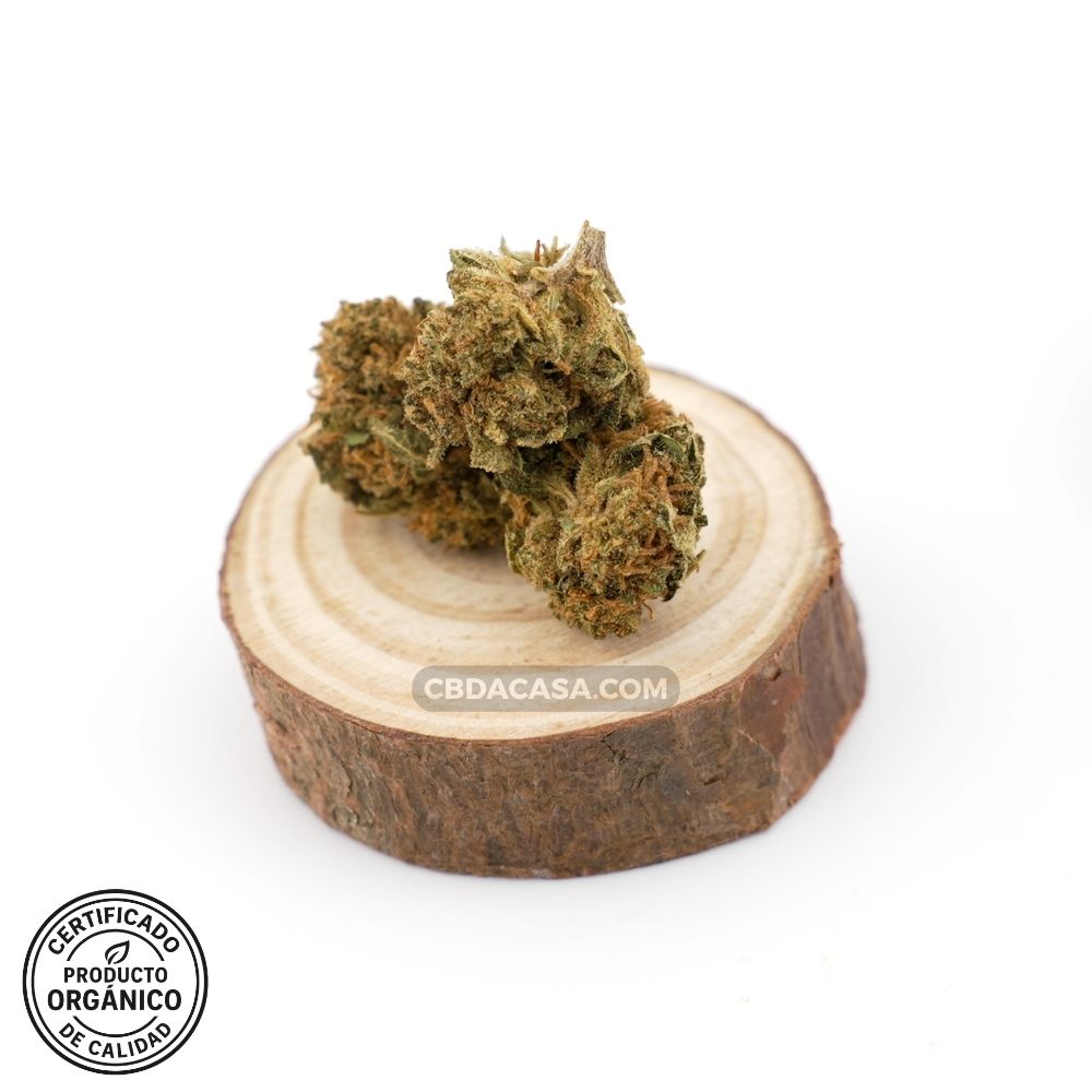 Flores de CBD Critical