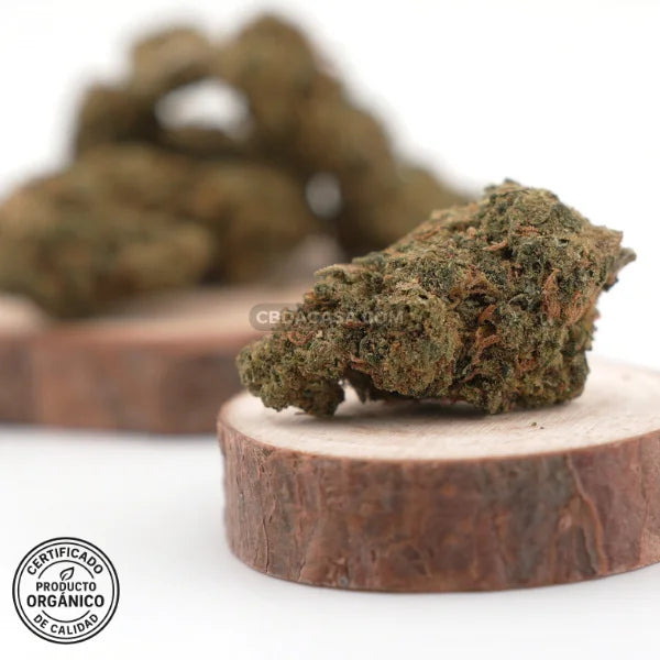 Flores CBD Pink Lady 100% ecológico