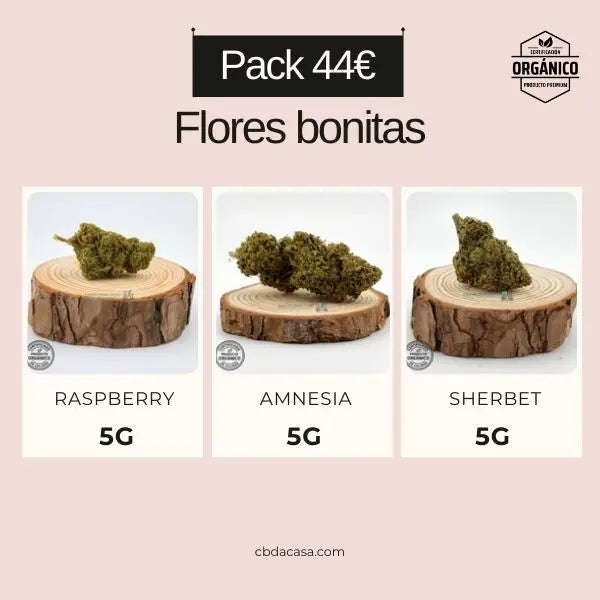 Flores CBD bonitas a precio barato