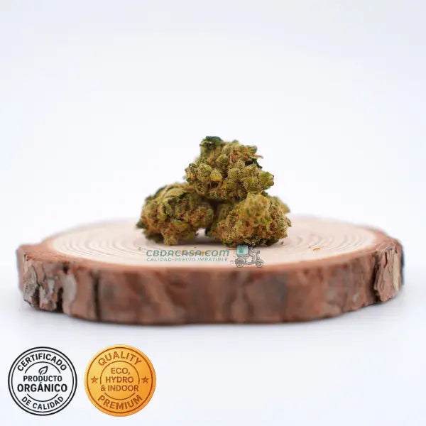 Comprar CBD Amnesia Haze Hydro