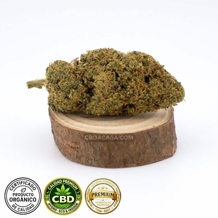 Cheese Cake Indoor CBD Flowers